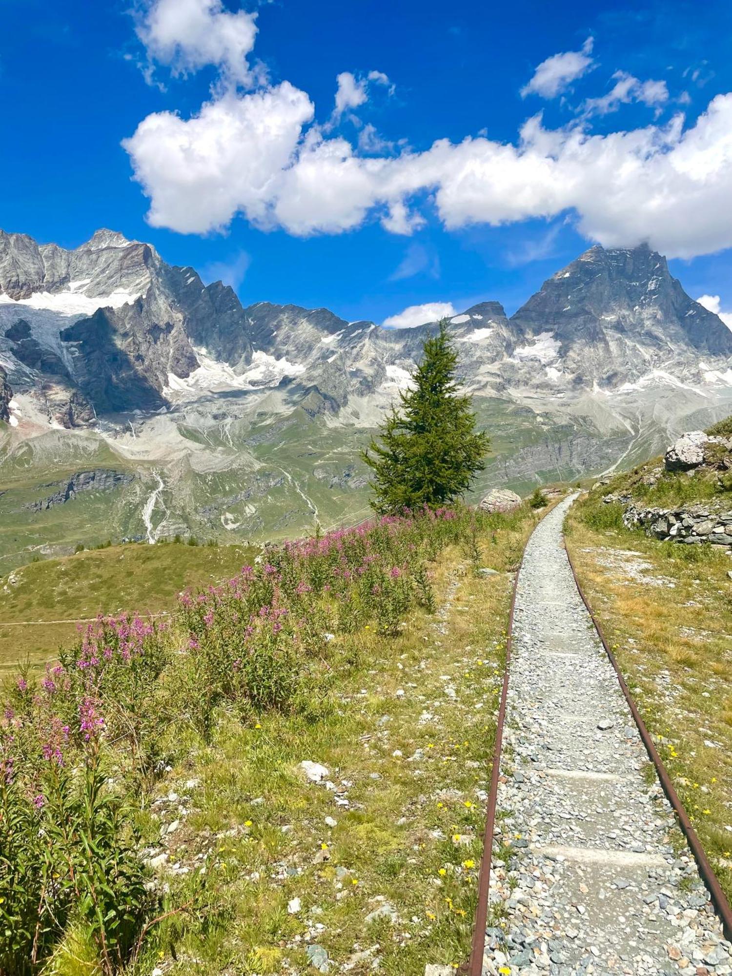 Ski Paradise - Cielo Alto Cervinia Breuil-Cervinia Dış mekan fotoğraf